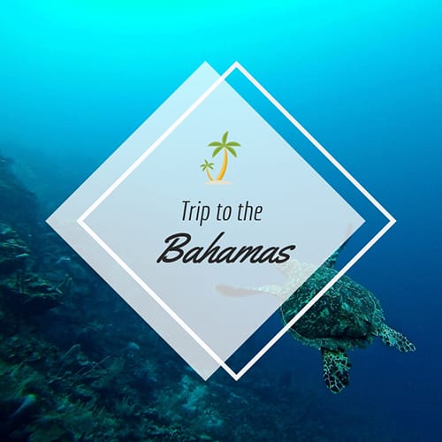 Trip to the Bahamas Blog Graphic Medium Template Trip to the Bahamas Blog Graphic Medium Template
