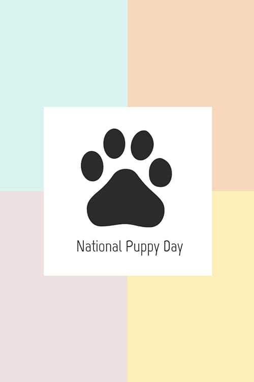 National Puppy Day Blog Graphic Large Template