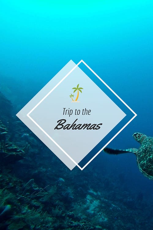 Trip to the Bahamas Blog Graphic Large Template