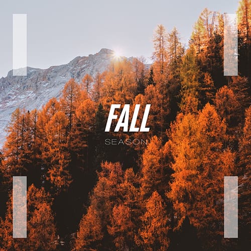 Fall Season Template Fall Season Template