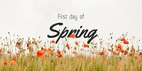 First Day of Spring Twitter Post Template First Day of Spring Twitter Post Template
