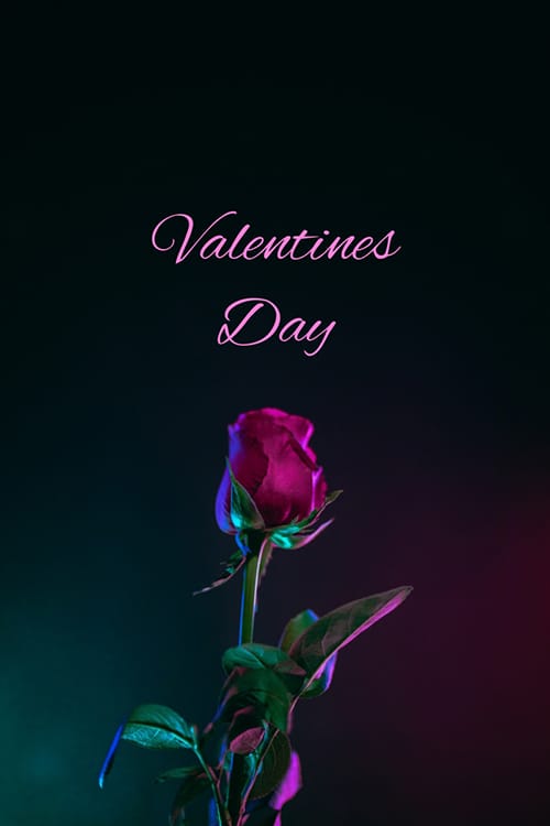 Valentines Day Blog Graphic Large Template