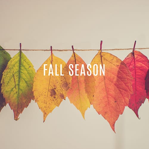 Autumn Template