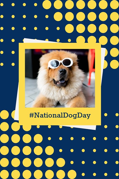 National Dog Day Blog Graphic Large Template