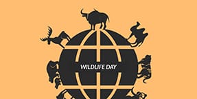 Wildlife Day Twitter Post Template Wildlife Day Twitter Post Template