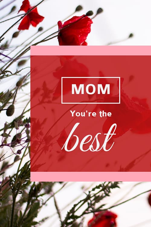 Mom You are the Best Blog Graphic Large Template