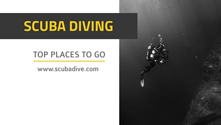 Scuba Diving Template