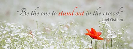 Stand Out Template Stand Out Template