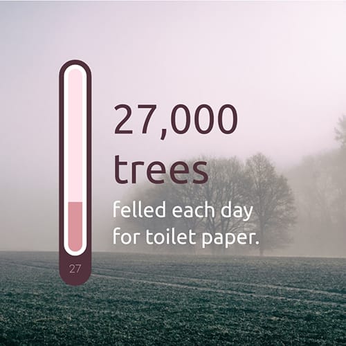 Nature Stat Template