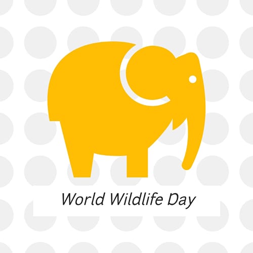 World Wildlife Day Blog Graphic Medium Template