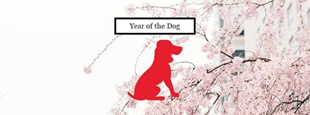 Year of the Dog Facebook Cover Template