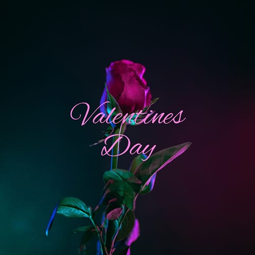 Valentines Day Blog Graphic Medium Template