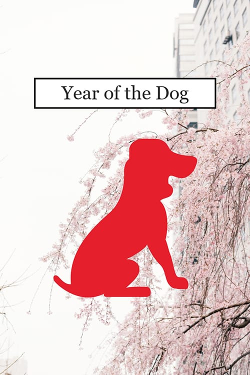 Year of the Dog Blog Graphic Large Template