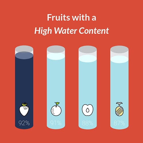 Fruits with High Water Content Template