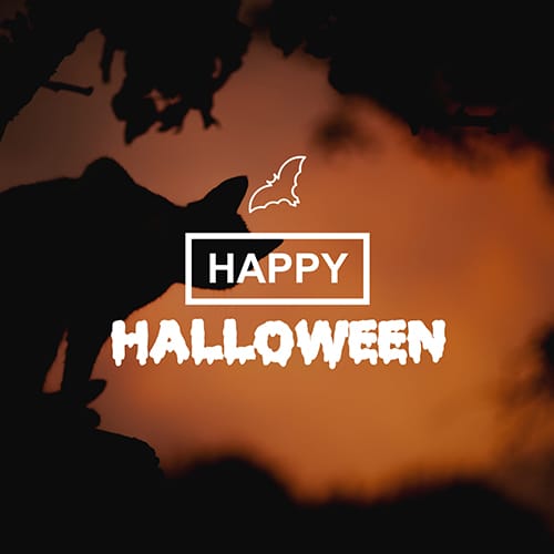 Happy Halloween Template
