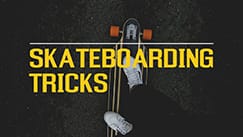 Skateboard Template