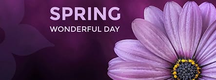 Spring Template