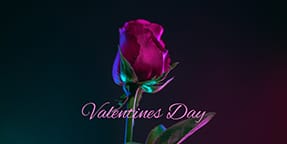 Valentines Day Twitter Post Template