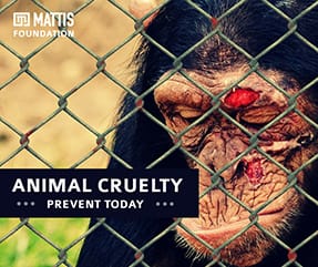 Animal Cruelty Facebook Post Template Animal Cruelty Facebook Post Template