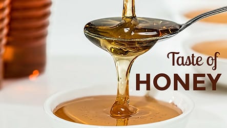 Honey Template