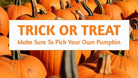 Pumpkin Day Template