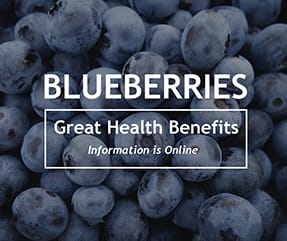 Health Benefits Template Health Benefits Template