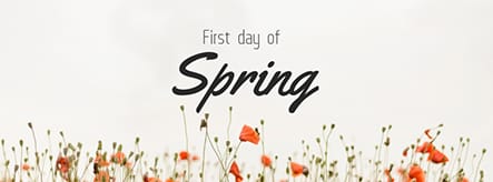 First Day of Spring Facebook Cover Template