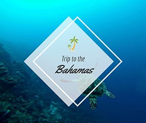 Trip to the Bahamas Facebook Post Template