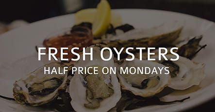 Oysters Template