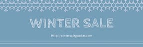 Winter Sale Email Header Template