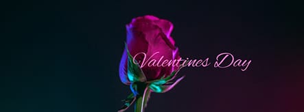 Valentines Day Facebook Cover Template