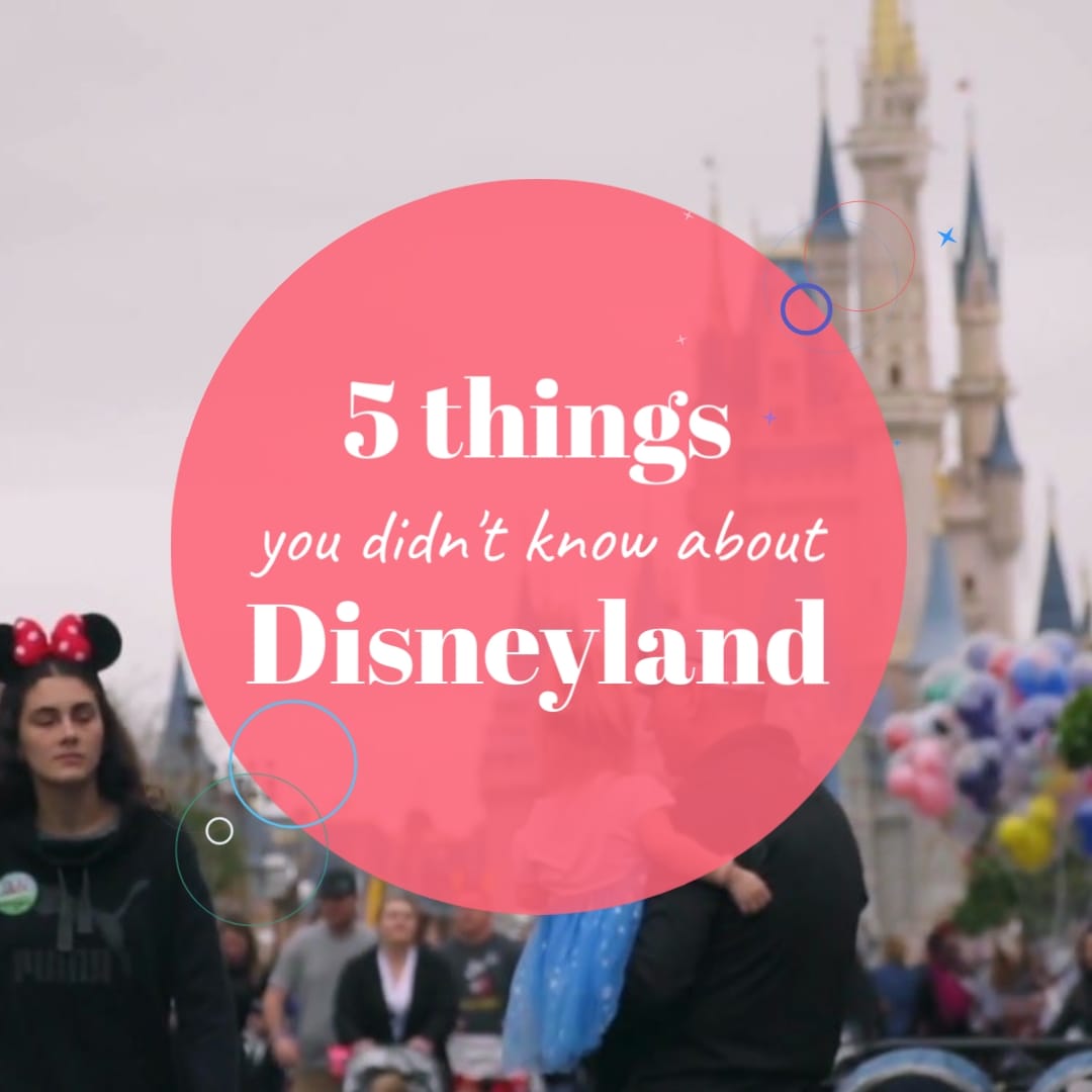 5 Things You Didn't Know About Disneyland Listicle Square Template