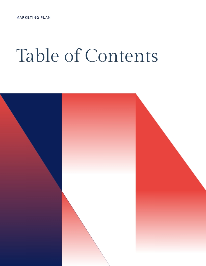 Accountancy Firm Marketing Strategies Template - Slide 2 Accountancy Firm Marketing Strategies Template - Slide 2