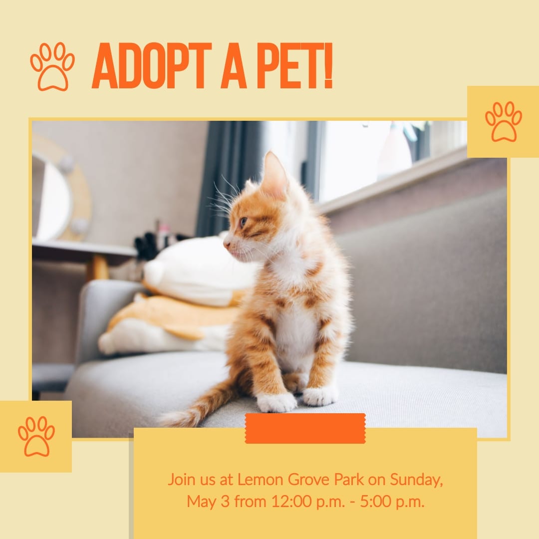 Adopt a Pet Animated Square Template