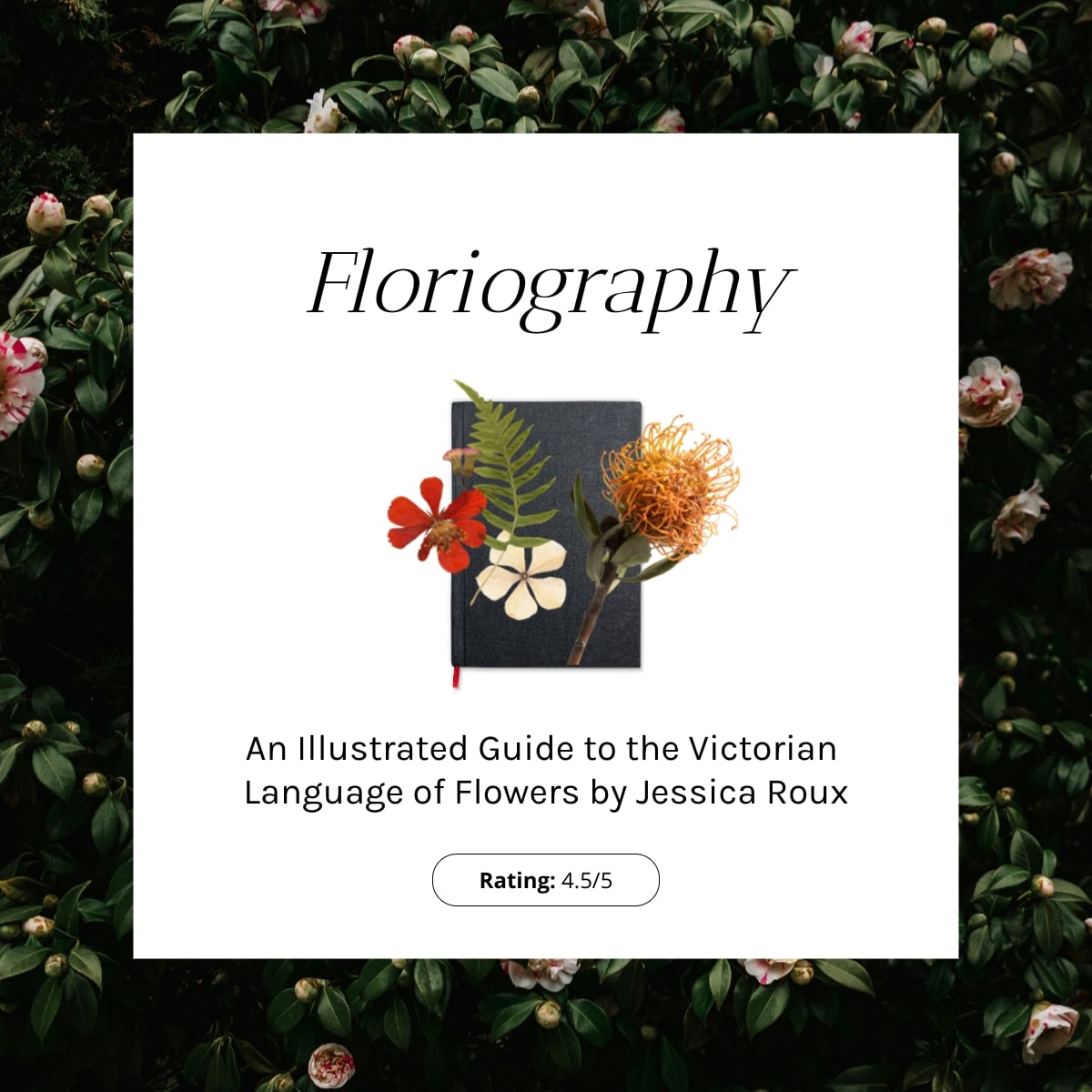 Aesthetic Instagram Book Review Carousel Post Template