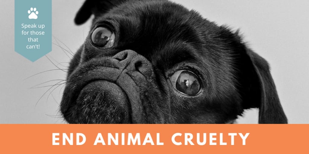Animal Cruelty Twitter (X) Ad Template