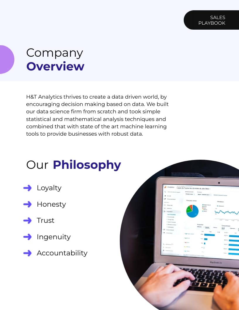 Big Data Company Sales Playbook Template - Slide 3 Big Data Company Sales Playbook Template - Slide 3