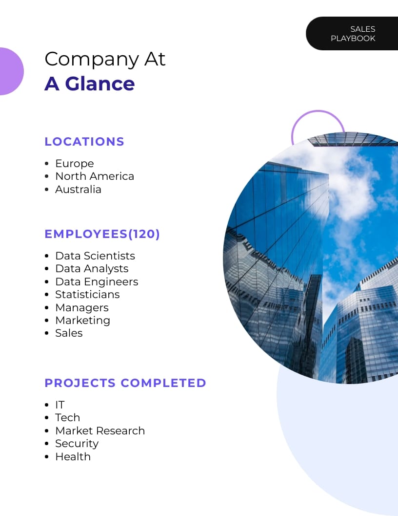 Big Data Company Sales Playbook Template - Slide 4 Big Data Company Sales Playbook Template - Slide 4