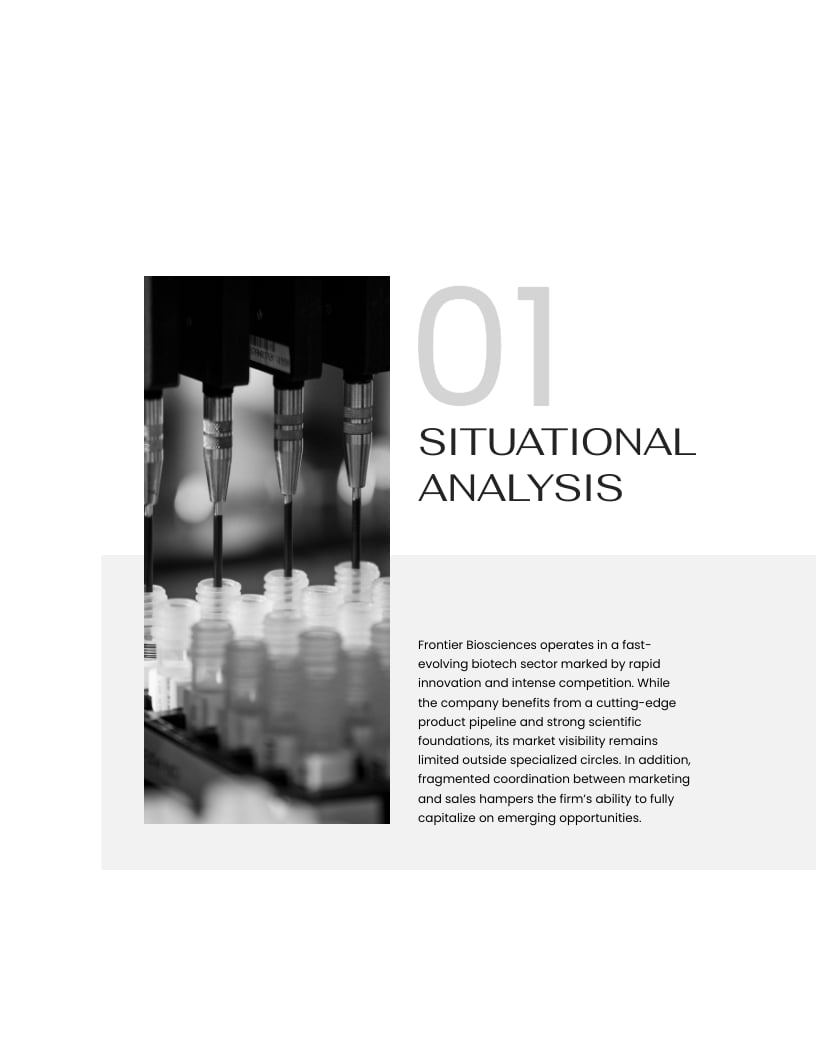 Biotech Company Marketing Plan Template - Slide 4 Biotech Company Marketing Plan Template - Slide 4