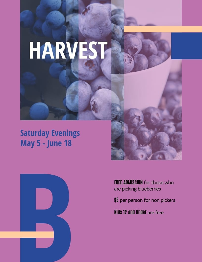 Blueberries - Flyer Template