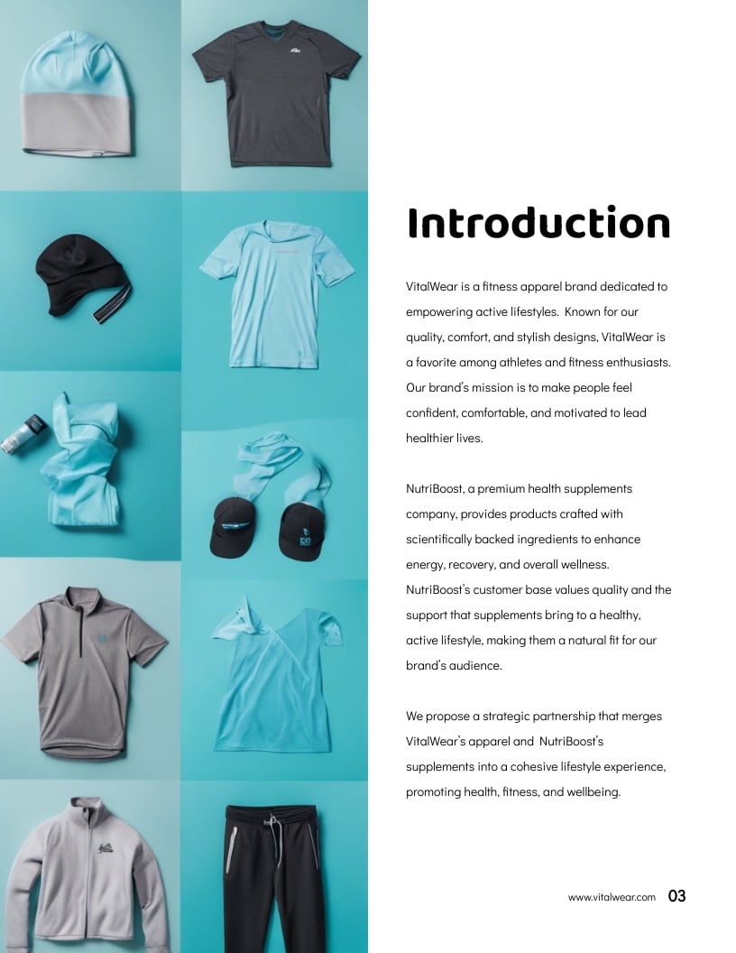 Brand Partnership Proposal Template - Slide 3 Brand Partnership Proposal Template - Slide 3