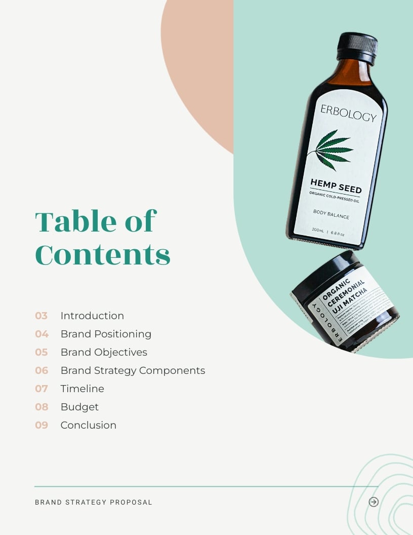 Brand Strategy Proposal Template - Slide 2 Brand Strategy Proposal Template - Slide 2