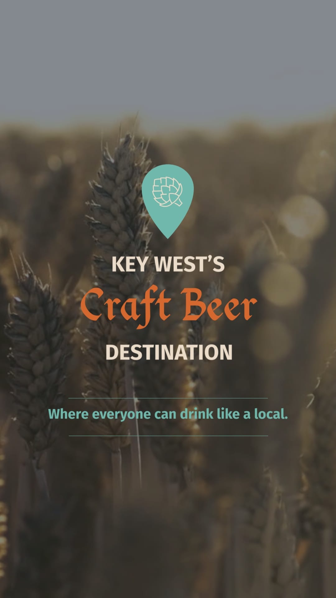 Brewery Promo Ad Vertical Template