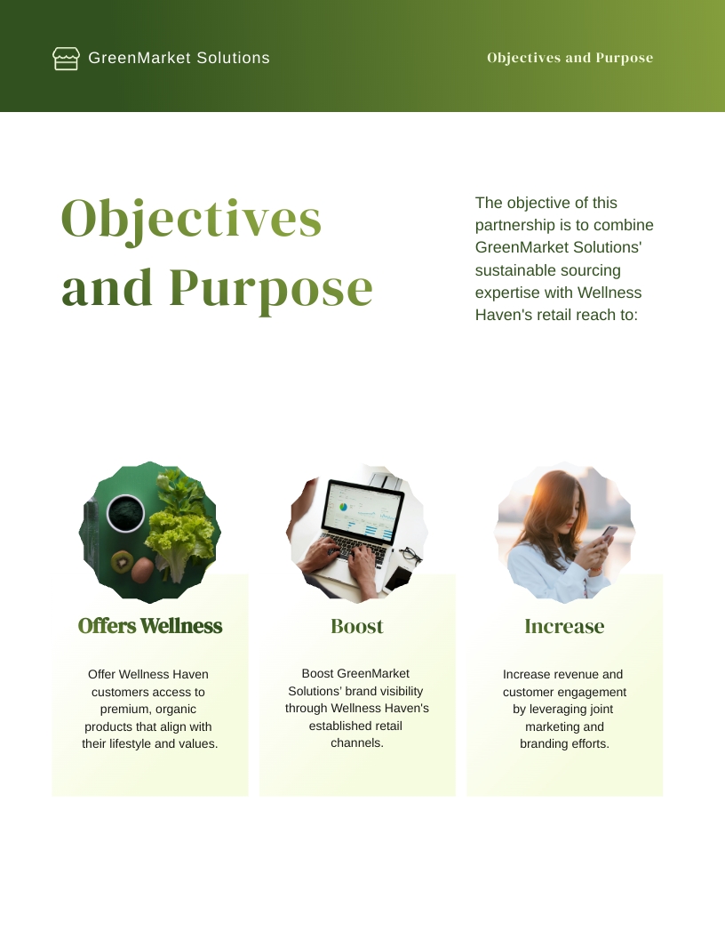 Business Partnership Proposal Template - Slide 4 Business Partnership Proposal Template - Slide 4