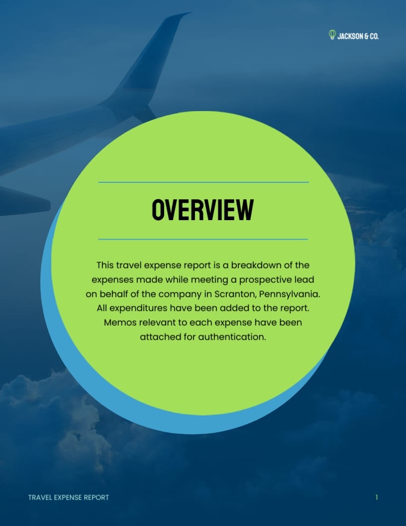 Business Travel Expense Report
