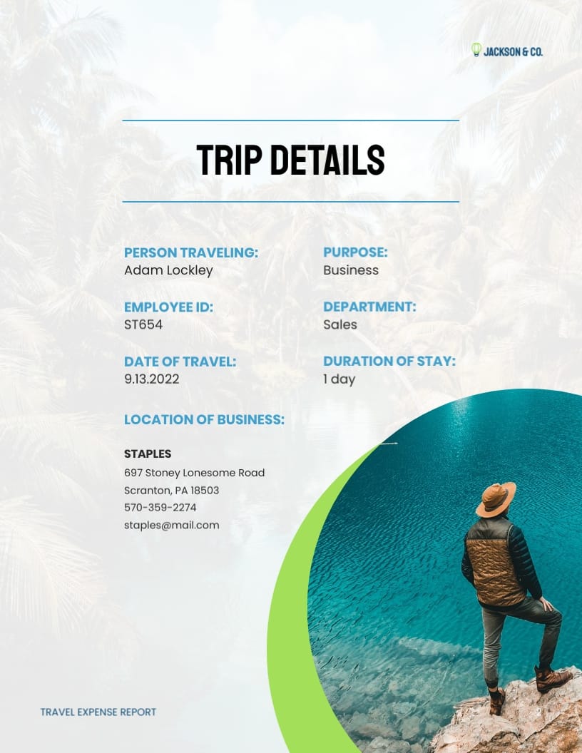 Business Travel Expense Report