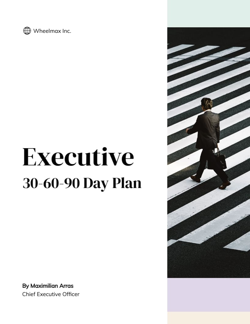 CEO 30-60-90 Day Plan Template
