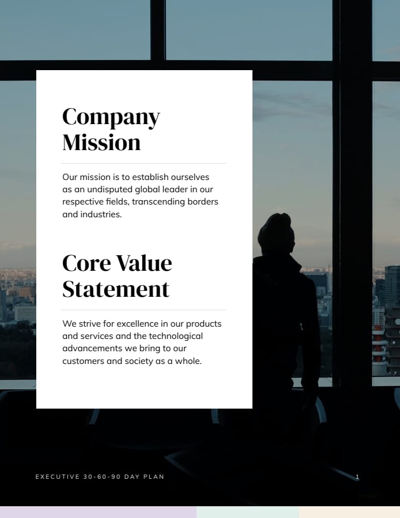 CEO 30-60-90 Day Plan