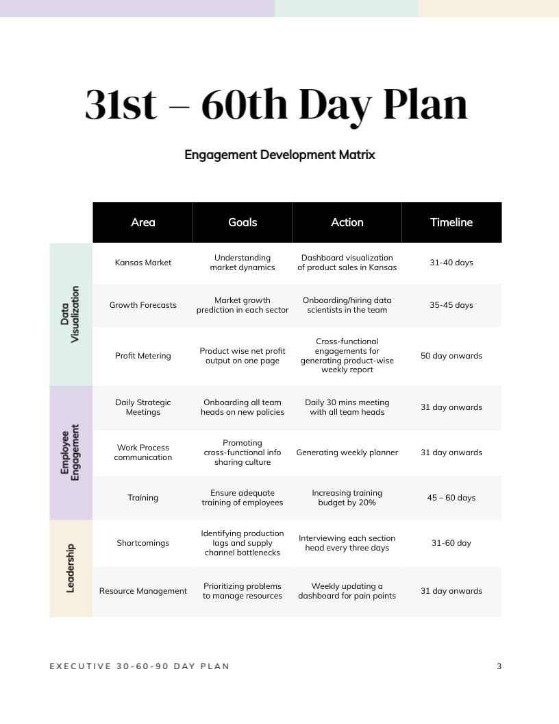CEO 30-60-90 Day Plan