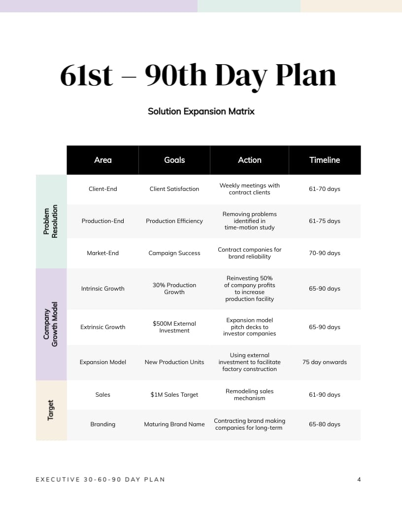 CEO 30-60-90 Day Plan
